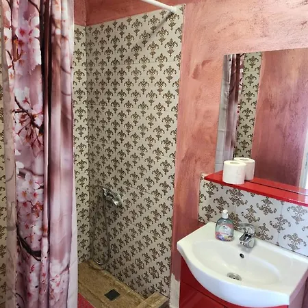 Guest house Marea Venusului